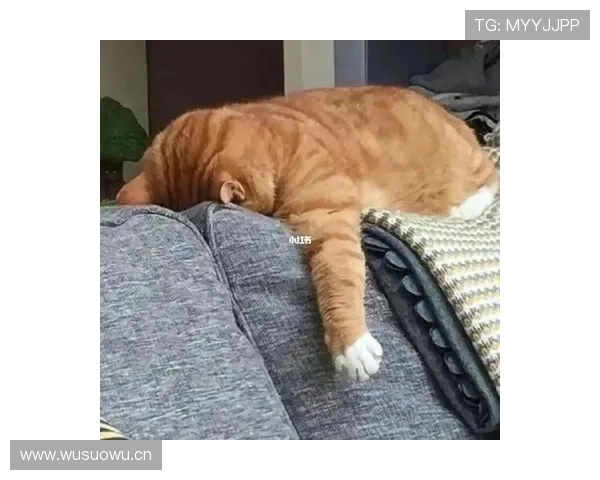 史梦瑶下了赛场衣橱贵到能顶我半年房租，笑得我心态崩了